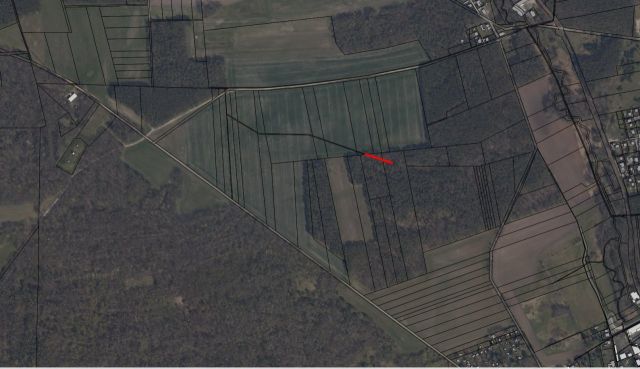 Lageskizze Flurstück 10/2 der Flur 4 - Gehölz- & Grünlandfläche am ´Alten Heuweggraben Reinsdorf´ und schmaler Gehölzstreifen nördlich von Lutherstadt Wittenberg