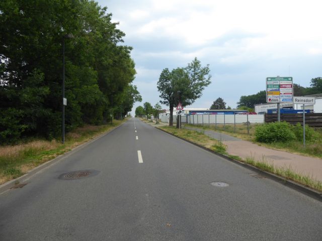 Ansicht Lindenstraße - Gehölz- & Grünlandfläche am ´Alten Heuweggraben Reinsdorf´ und schmaler Gehölzstreifen nördlich von Lutherstadt Wittenberg