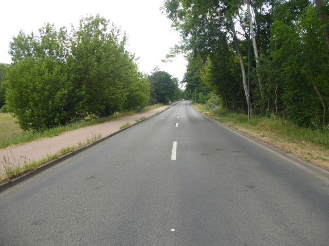 Ansicht Lindenstraße - Gehölz- & Grünlandfläche am ´Alten Heuweggraben Reinsdorf´ und schmaler Gehölzstreifen nördlich von Lutherstadt Wittenberg