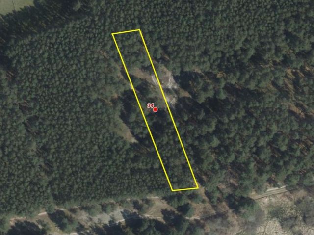 Lageskizze - Waldfläche nahe dem Stettiner Haff **Miteigentum zu 1/2 Anteil**