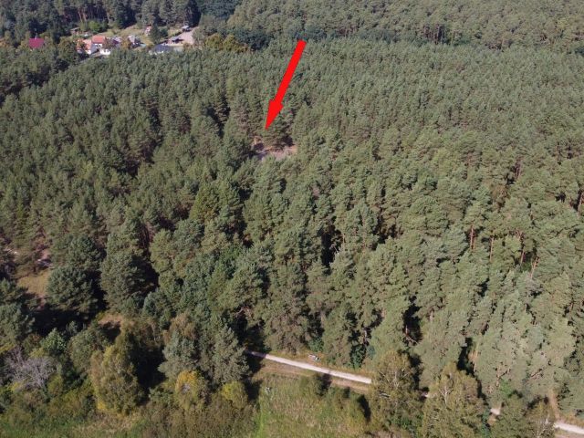 Lage des Verkaufsgegenstandes - Waldfläche nahe dem Stettiner Haff **Miteigentum zu 1/2 Anteil**