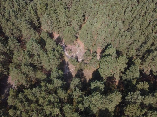 Blick auf den Verkaufsgegenstand - Waldfläche nahe dem Stettiner Haff **Miteigentum zu 1/2 Anteil**