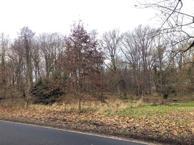 Blick auf den Verkaufsgegenstand - Tlw. verpachtete Landwirtschafts- Wald- und Wasserfläche zwischen Greifswald und Wolgast