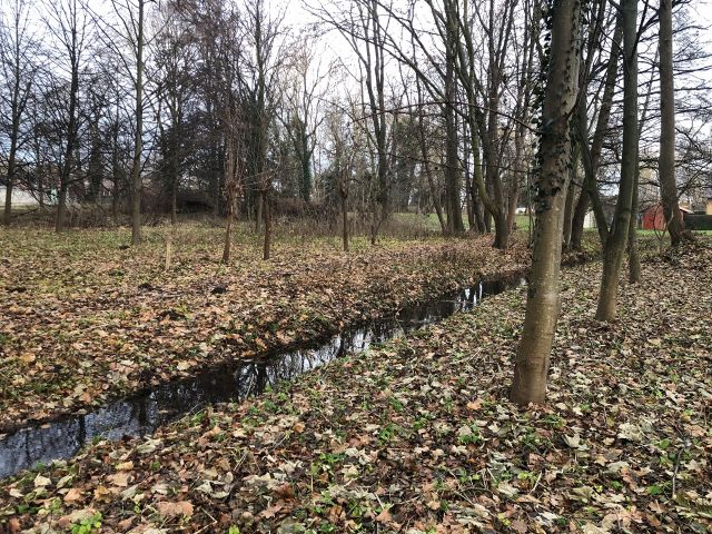 Graben auf dem Verkaufsgegenstand - Tlw. verpachtete Landwirtschafts- Wald- und Wasserfläche zwischen Greifswald und Wolgast