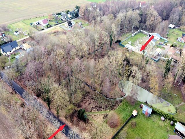 Blick auf den Verkaufsgegenstand mit Umgebung - Tlw. verpachtete Landwirtschafts- Wald- und Wasserfläche zwischen Greifswald und Wolgast
