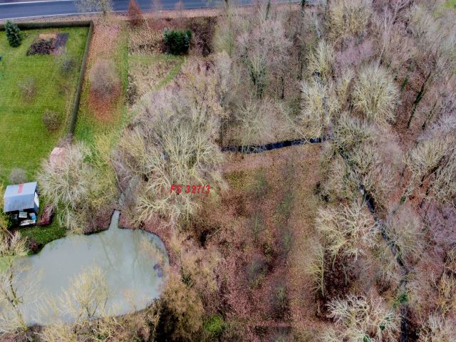 Blick auf den Verkaufsgegenstand - Tlw. verpachtete Landwirtschafts- Wald- und Wasserfläche zwischen Greifswald und Wolgast