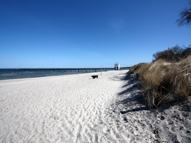 Seebad Lubmin in ca. 12 km Entfernung - Tlw. verpachtete Landwirtschafts- Wald- und Wasserfläche zwischen Greifswald und Wolgast
