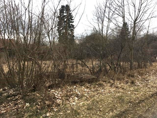 Blick auf Verkaufsfläche - Aufnahme aus 2017 - Vertragsfreies Innenbereichs-Grundstück in Ortslage etwa 4 km vom Schwielochsee entfernt