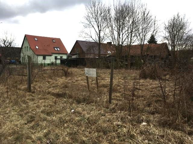 Blick auf Verkaufsfläche und Umgebung - Aufnahme aus 2017 - Vertragsfreies Innenbereichs-Grundstück in Ortslage etwa 4 km vom Schwielochsee entfernt