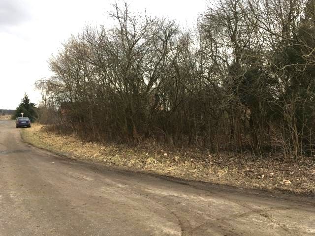 Blick auf Verkaufsfläche und Umgebung - Aufnahme aus 2017 - Vertragsfreies Innenbereichs-Grundstück in Ortslage etwa 4 km vom Schwielochsee entfernt