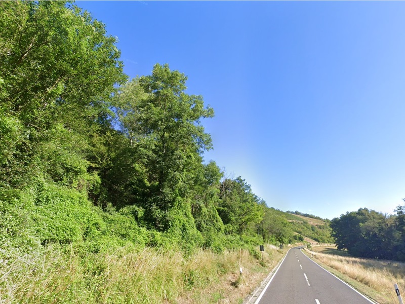 Grundstück kaufen in Oberhausen an der Nahe Vertragsfreie Waldfläche in Hanglage in der