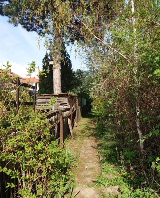 Blick auf die Zuwegung und Umgebung - Vertragsfreier Eigentumsgarten in Rötha nahe des ´Stausee Rötha´ und ca. 15 km südlich von Leipzig