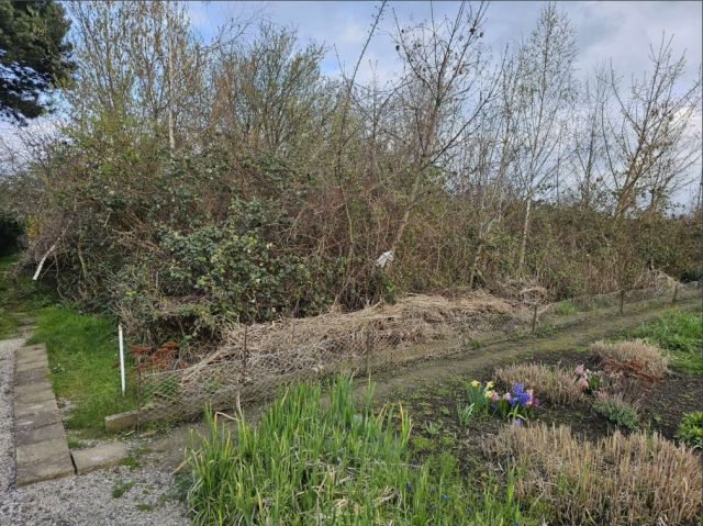 Blick auf Verkaufsfläche und Umgebung - Vertragsfreier Eigentumsgarten in Rötha nahe des ´Stausee Rötha´ und ca. 15 km südlich von Leipzig