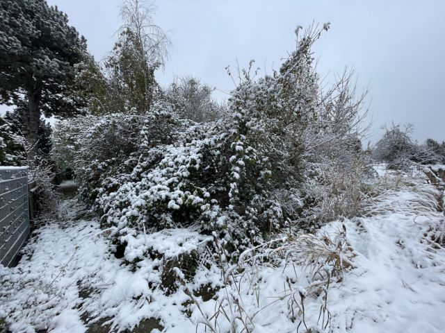 Blick auf Verkaufsfläche und Umgebung - Vertragsfreier Eigentumsgarten in Rötha nahe des ´Stausee Rötha´ und ca. 15 km südlich von Leipzig