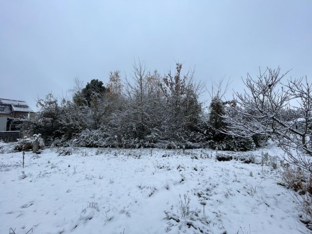 Blick auf Verkaufsfläche und Umgebung - Vertragsfreier Eigentumsgarten in Rötha nahe des ´Stausee Rötha´ und ca. 15 km südlich von Leipzig