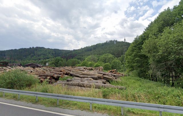 Blick Richtung Verkaufsgegenstand hinter dem Sägewerk und auf die Umgebung - Über 1 ha vertragsfreies Grundstück teilweise mit Gehölzbewuchs hinter einem Sägewerk im Odenwald