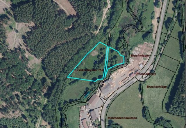 Lageskizze Verkaufsflurstücke nach Flurbereinigungsverfahren - Über 1 ha vertragsfreies Grundstück teilweise mit Gehölzbewuchs hinter einem Sägewerk im Odenwald