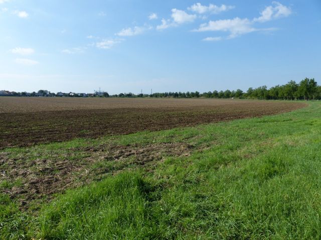 Blick auf das Flurstück 174/17 mit Umgebung - 2 vertragslos genutzte Landwirtschaftsflächen nördlich von Leipzig