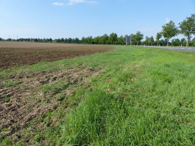 Blick auf das Flurstück 174/17 mit Umgebung - 2 vertragslos genutzte Landwirtschaftsflächen nördlich von Leipzig