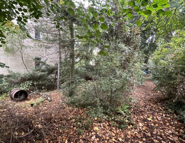 Blick auf den Verkaufsgegenstand - Vertragsfreies Grundstück nahe dem Stadtzentrum **Innenbereich/ehemaliges Gartengrundstück**