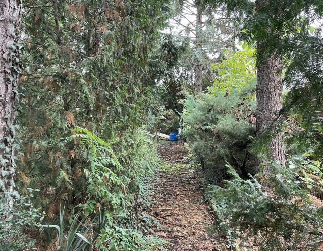 Blick auf den Verkaufsgegenstand - Vertragsfreies Grundstück nahe dem Stadtzentrum **Innenbereich/ehemaliges Gartengrundstück**
