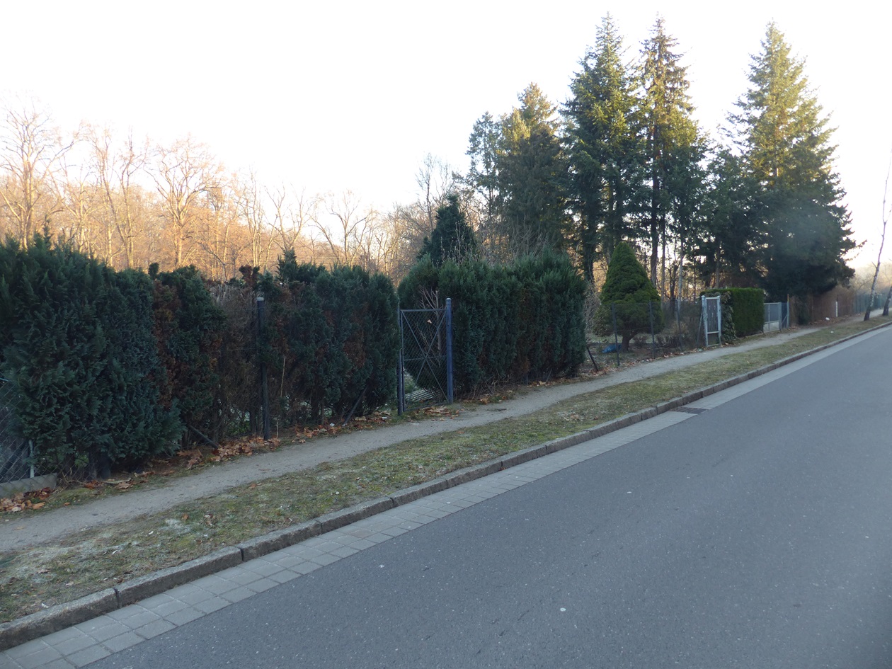 Grundstück kaufen in Cottbus OT Spremberger Vorstadt Vertragsfreier