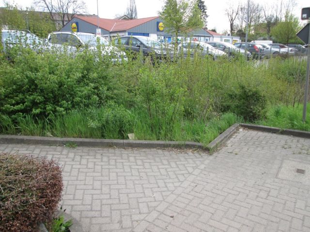 Blick auf den Verkaufsgegenstand mit Umgebung - Vertragsfreies Grundstück in direkter Nachbarschaft zu einem Lebensmitteldiscounter mit Parkplatz