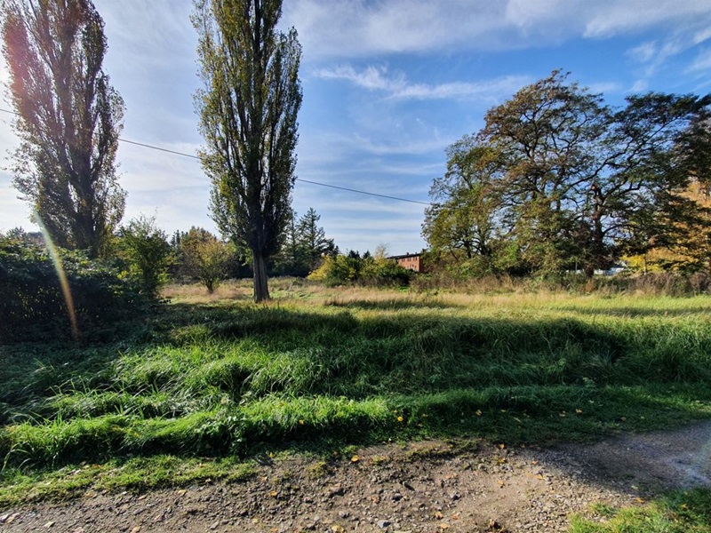 Grundstück kaufen in Sundhagen OT Bremerhagen Frisch vermessenes