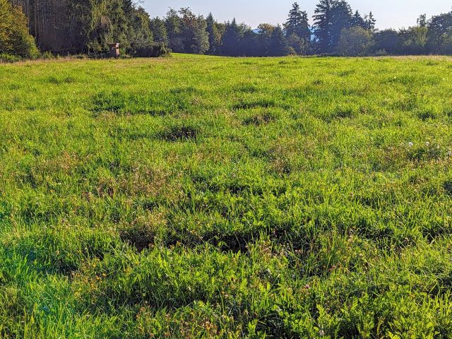 Verkaufsgegenstand und Umgebung - Landwirtschaftsfläche im Naturpark Nassau