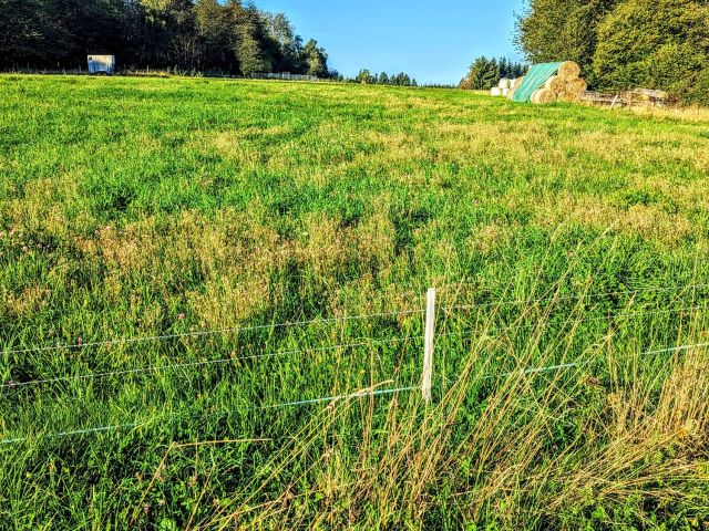 Verkaufsgegenstand und Umgebung - Landwirtschaftsfläche im Naturpark Nassau