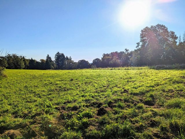 Verkaufsgegenstand und Umgebung - Landwirtschaftsfläche im Naturpark Nassau