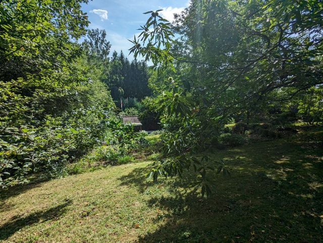 Blick vom Verkaufsgrundstück auf die Nachbarfläche und Umgebung - Vertragsfreie Freifläche mit Baum- und Buschbewuchs - ehemaliger Kleingarten