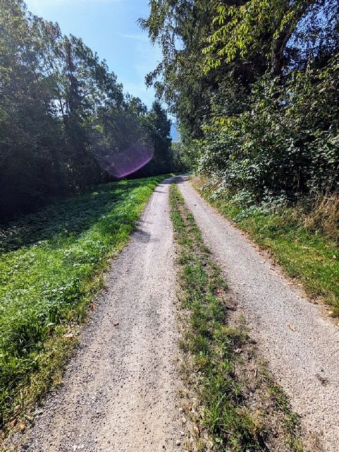 Wirtschaftsweg vor dem Verkaufsgrundstück - Vertragsfreie Freifläche mit Baum- und Buschbewuchs - ehemaliger Kleingarten