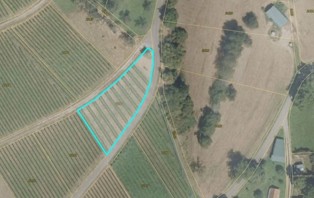 Lageskizze - Vertragslos genutzter Weinberg im Landkreis Lörrach am Fuße des Schwarzwaldes