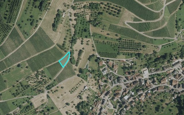 Umgebungsskizze - Vertragslos genutzter Weinberg im Landkreis Lörrach am Fuße des Schwarzwaldes