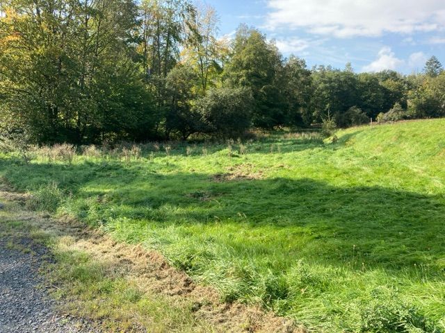 Blick auf Flurstück 116 und Umgebung - 4 Grünlandflächen teilweise mit Gehölzbewuchs