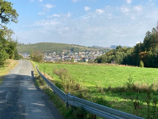 Blick auf Umgebung von Flurstück 116 - 4 Grünlandflächen teilweise mit Gehölzbewuchs