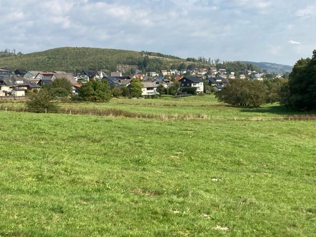 Blick auf Umgebung von Flurstücken 80 und 216/56 - 4 Grünlandflächen teilweise mit Gehölzbewuchs