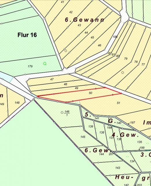 Lageskizze Flurstück 50 - 4 Grünlandflächen teilweise mit Gehölzbewuchs