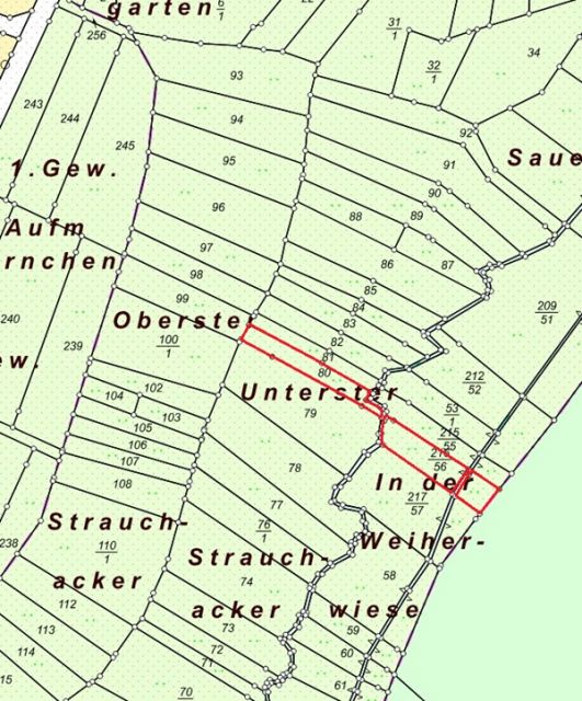 Lageskizze Flurstücke 80 und 216/56 - 4 Grünlandflächen teilweise mit Gehölzbewuchs