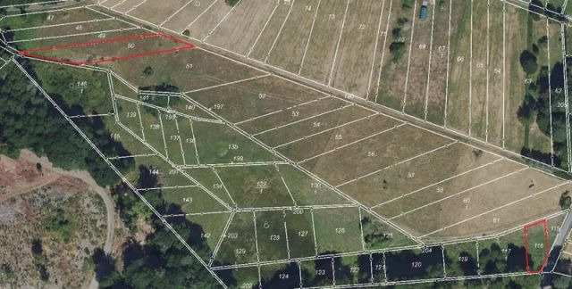 Lageskizze Flurstücke 50 und 116 - 4 Grünlandflächen teilweise mit Gehölzbewuchs