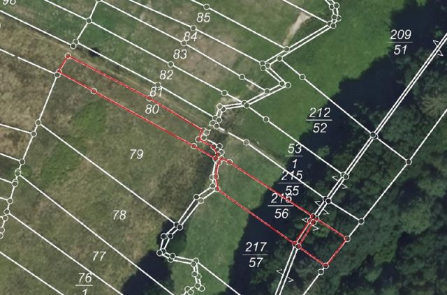 Lageskizze Flurstücke 80 und 216/56 - 4 Grünlandflächen teilweise mit Gehölzbewuchs