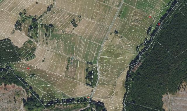 Umgebungsskizze Lage alle Verkaufsflurstücke - 4 Grünlandflächen teilweise mit Gehölzbewuchs