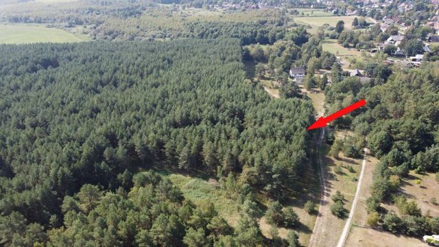 Blick auf Lage des Verkaufsflurstückes 78 und auf die Umgebung - Waldfläche nahe dem Stettiner Haff **Miteigentum zu 1/2 Anteil**
