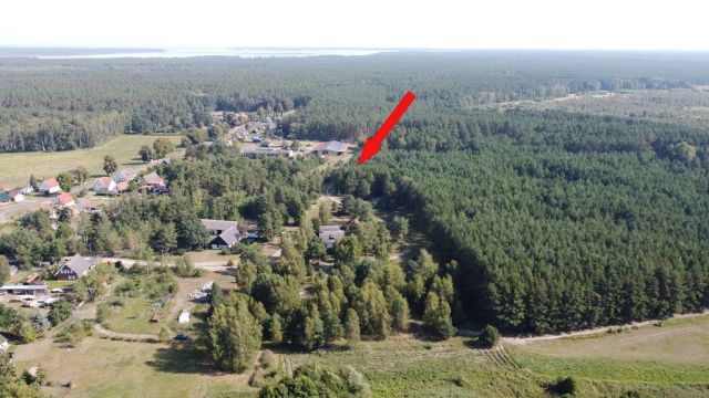 Blick auf Lage des Verkaufsflurstückes 78 und auf die Umgebung - Waldfläche nahe dem Stettiner Haff **Miteigentum zu 1/2 Anteil**