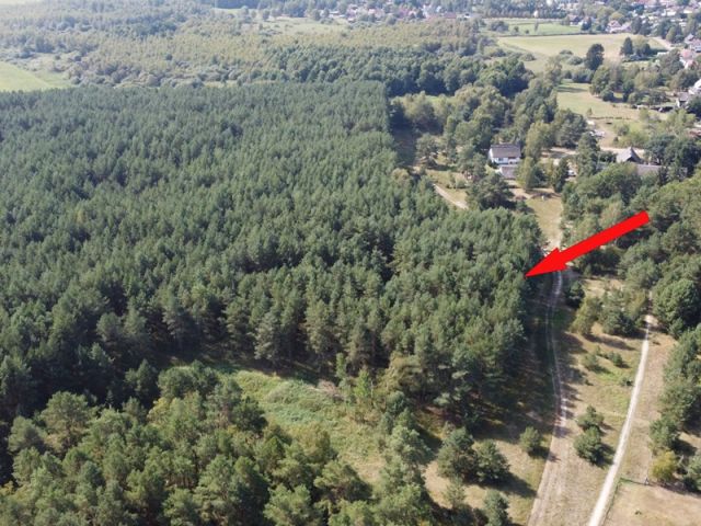 Blick auf Lage des Verkaufsflurstückes 78 und auf die Umgebung - Waldfläche nahe dem Stettiner Haff **Miteigentum zu 1/2 Anteil**