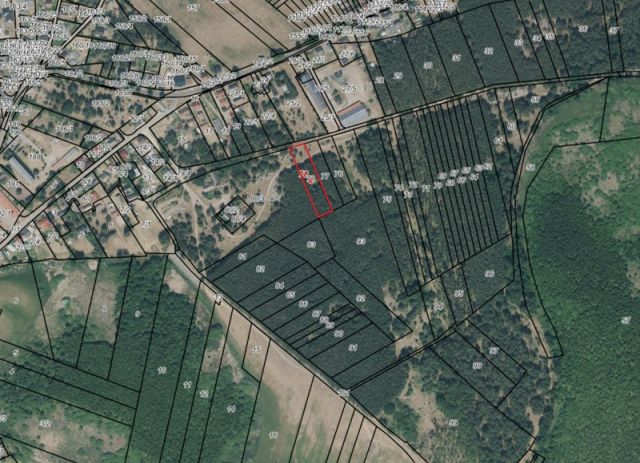 Umgebungsskizze - Waldfläche nahe dem Stettiner Haff **Miteigentum zu 1/2 Anteil**