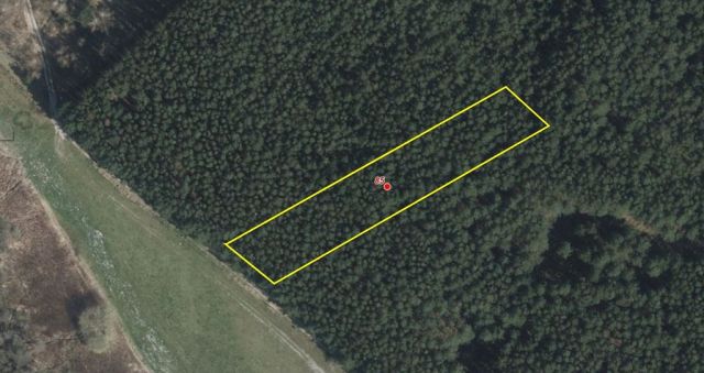 Lageskizze - Waldfläche nahe dem Stettiner Haff **Miteigentum zu 1/2 Anteil**