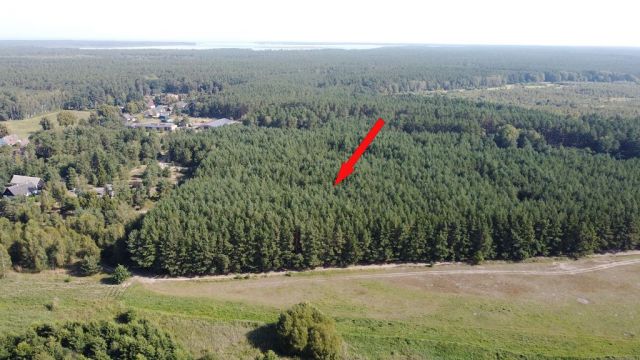 Blick auf Lage des Verkaufsflurstückes 85 und auf die Umgebung - Waldfläche nahe dem Stettiner Haff **Miteigentum zu 1/2 Anteil**