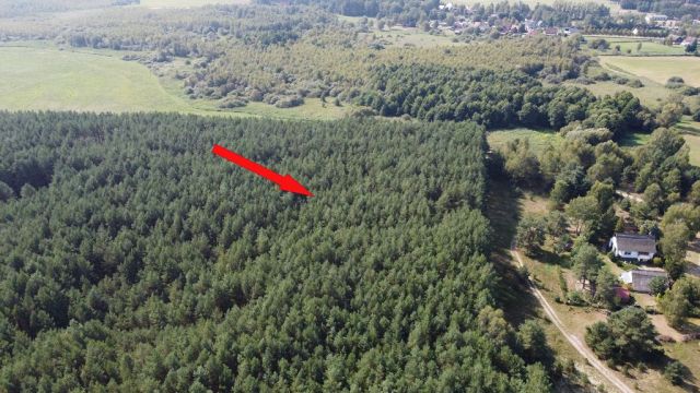 Blick auf Lage des Verkaufsflurstückes 85 und auf die Umgebung - Waldfläche nahe dem Stettiner Haff **Miteigentum zu 1/2 Anteil**